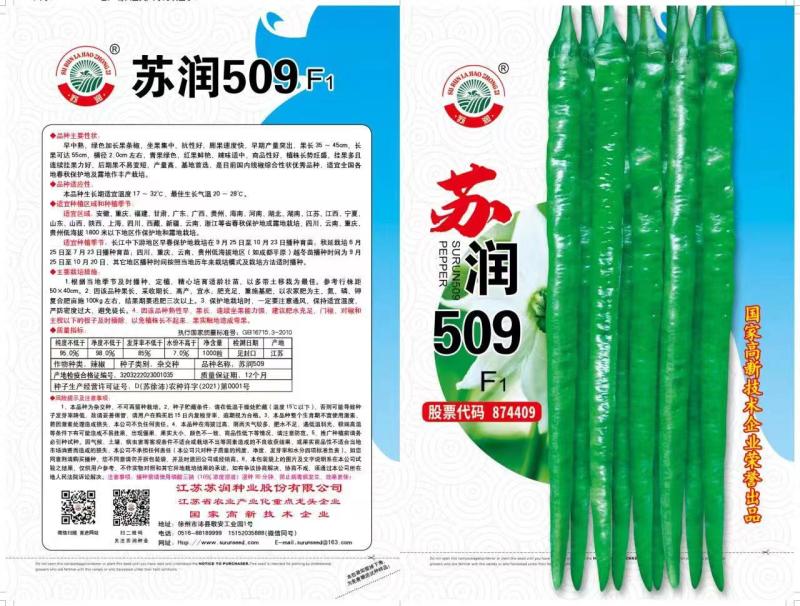 苏润509特长线椒种子，早中熟椒条顺直，挂果多