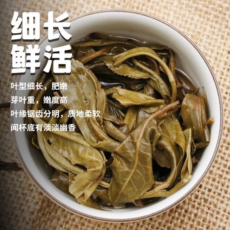 【牛商优选】精品云南古树茶入口轻柔回甘生津品质保证