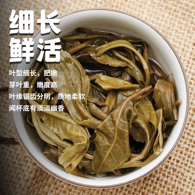 【百年古树普洱茶】一手货源好山出好茶甘醇无杂质