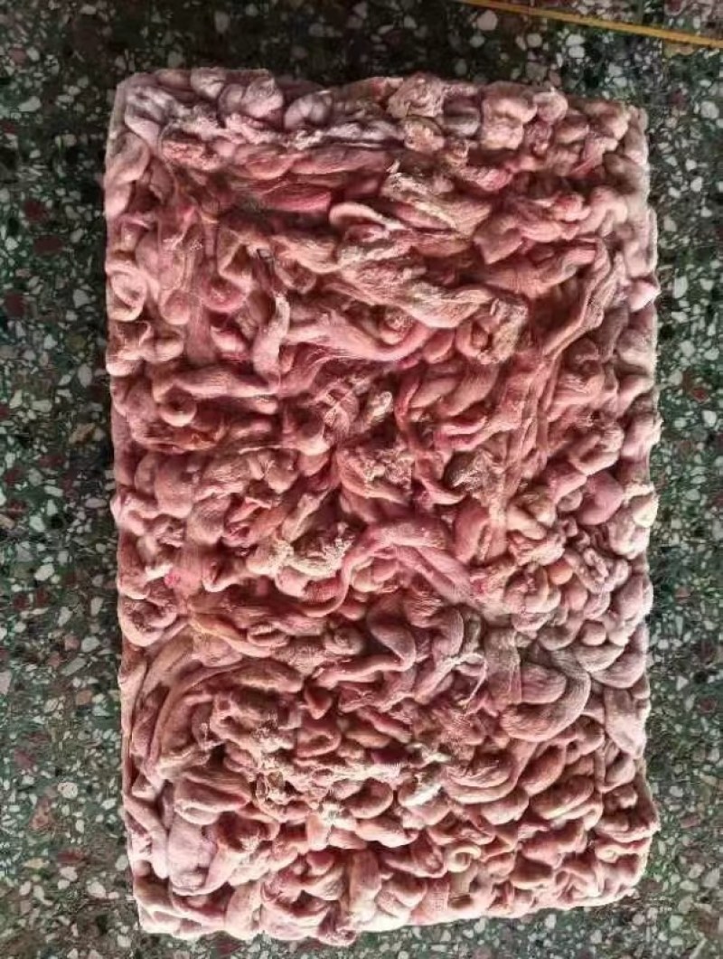 蛋包肠