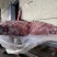 母猪四号肉板