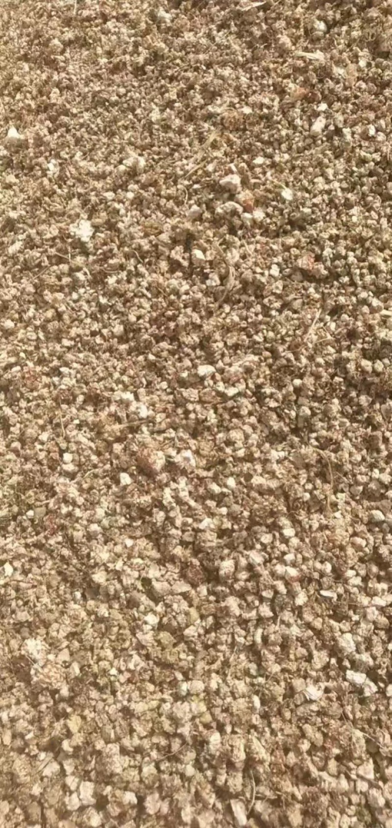 优质玉米芯颗粒压块饲料大量供应可视频看货，欢迎老板采购