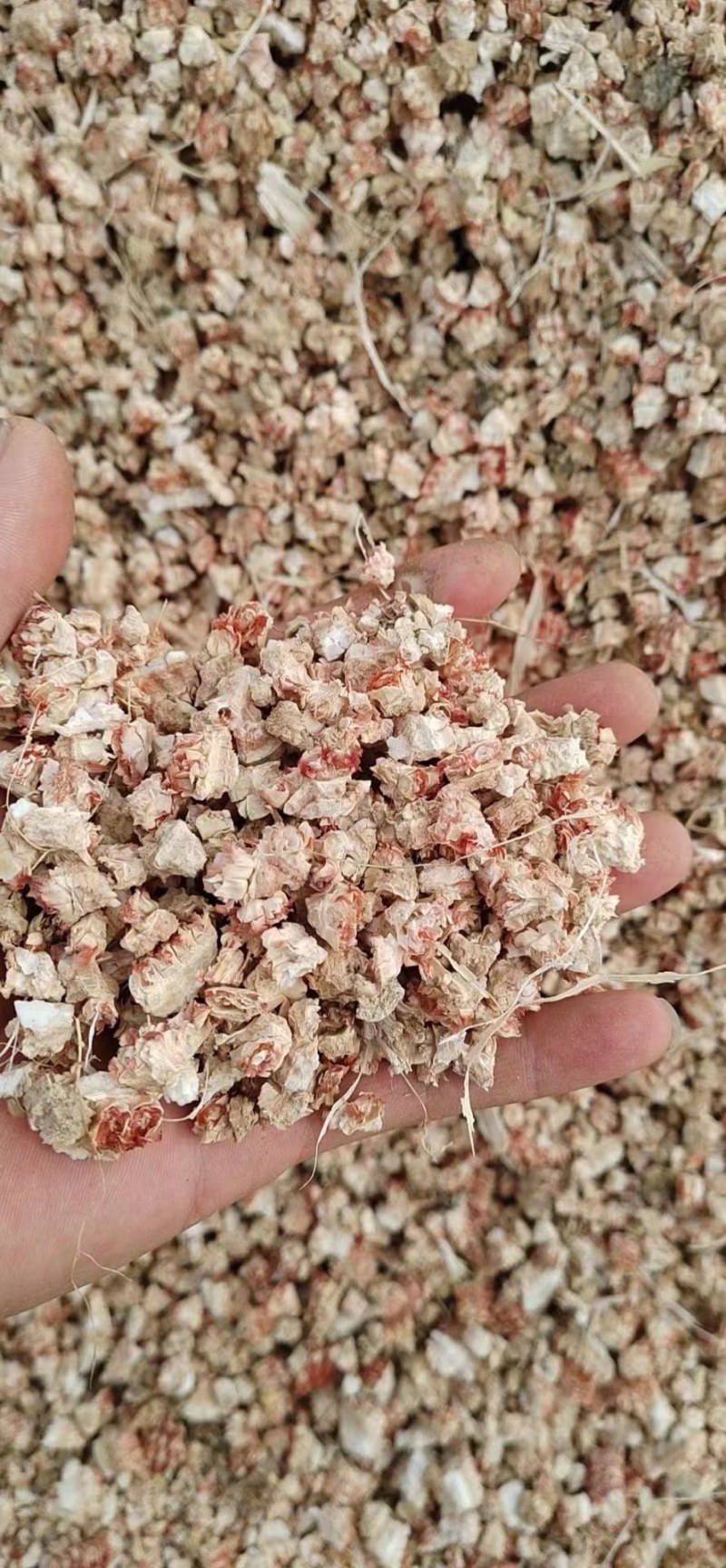 优质玉米芯颗粒压块饲料大量供应可视频看货，欢迎老板采购