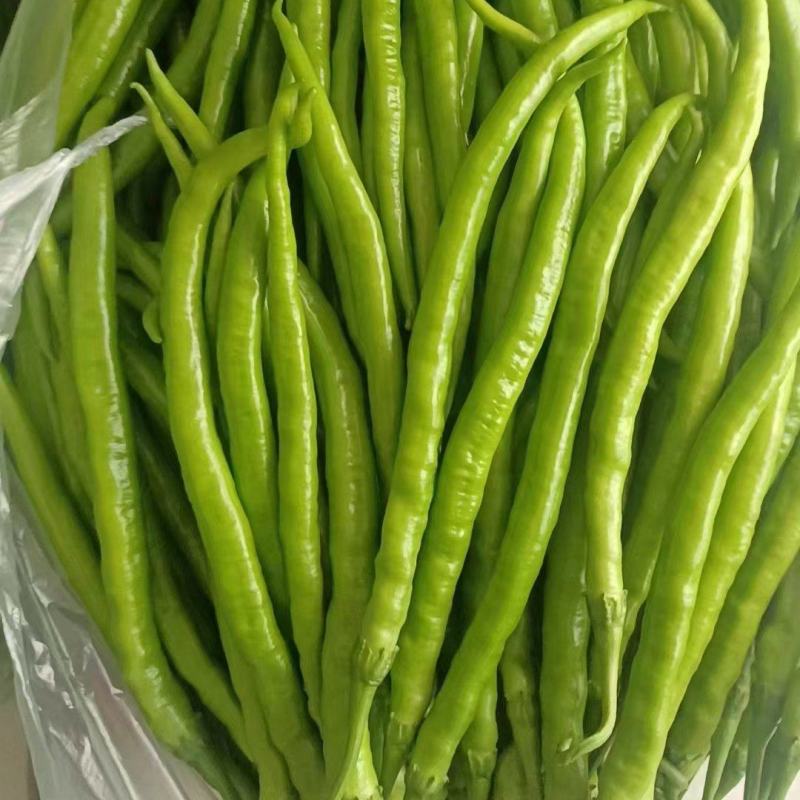 精品8号线大量上市