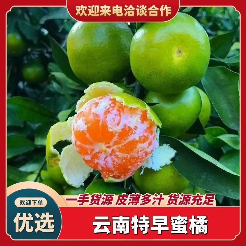 云南蜜橘，皮薄汁多纯甜化渣，承接全国客商，诚信为本