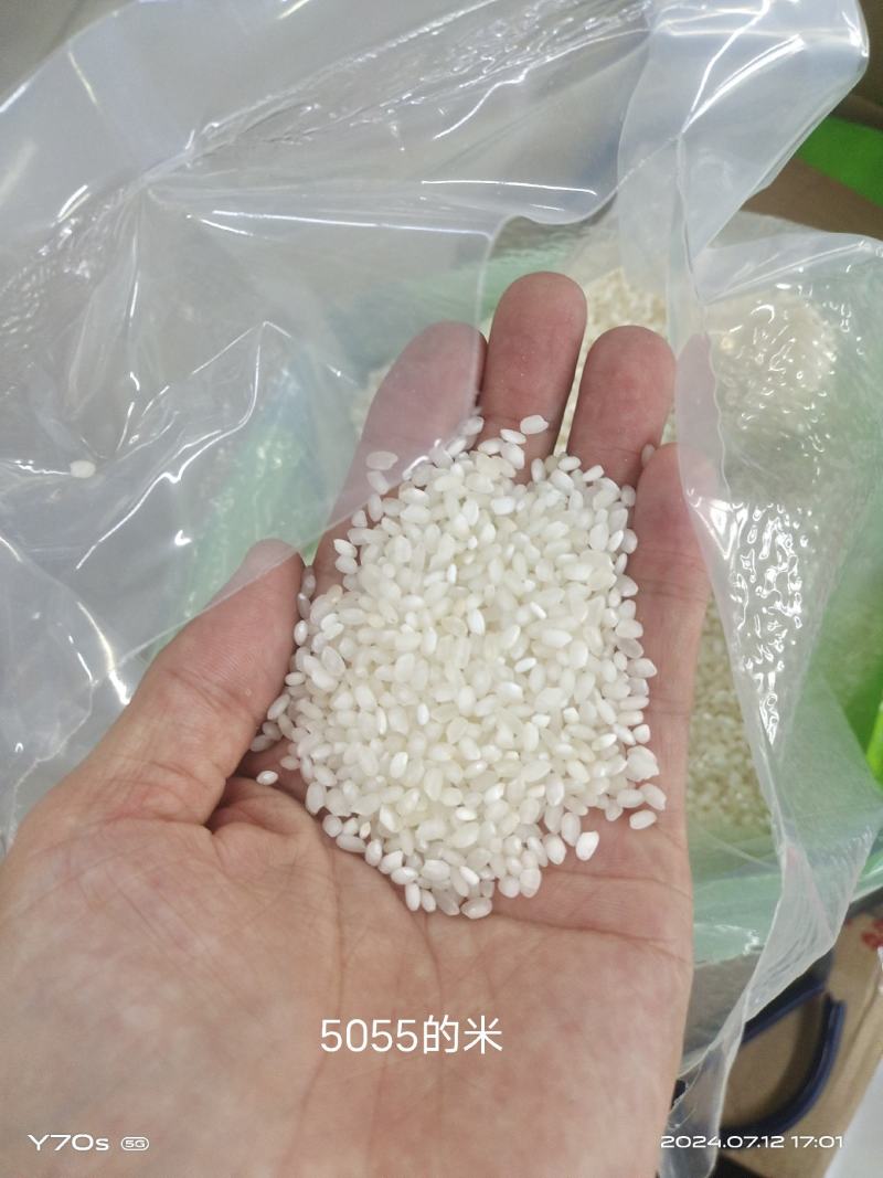 源自世界长寿之乡如皋大米梓鹏5055米5公斤真空包装