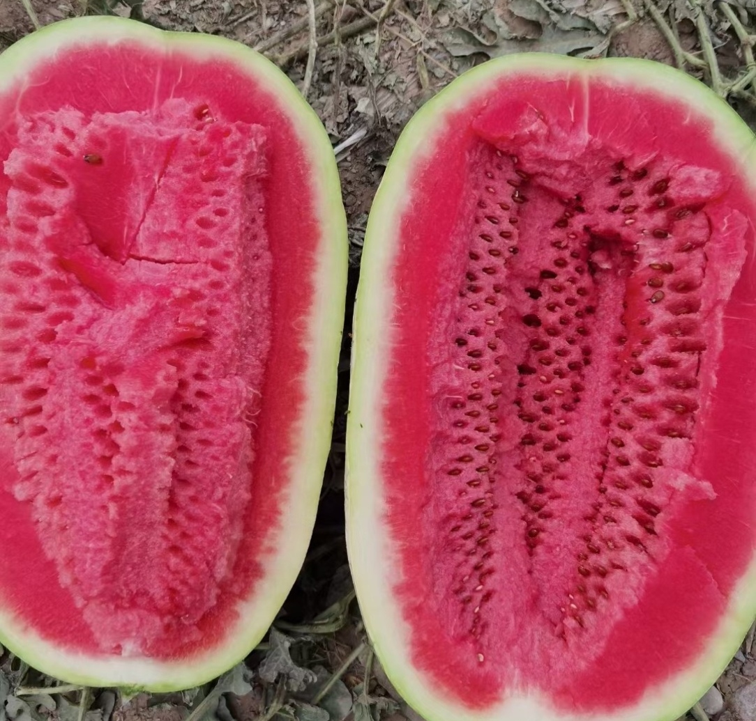 西瓜切开示意图