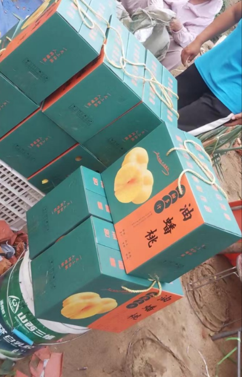 蟠桃九