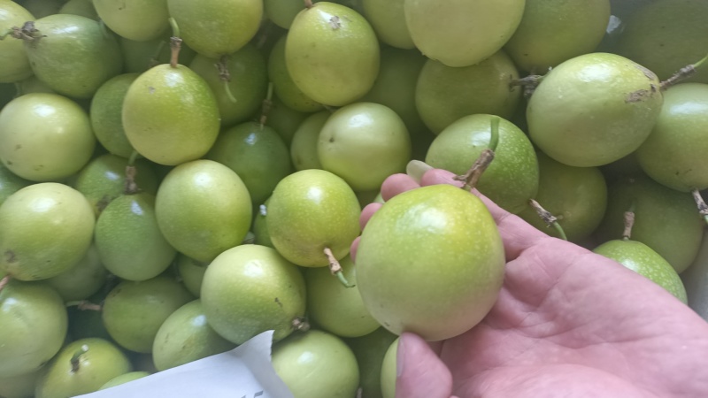 钦蜜九号百香果纯甜无酸