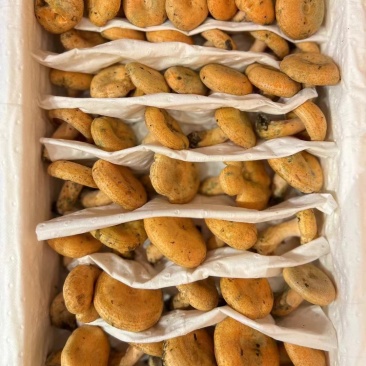 谷熟菌