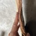 广西百年油桂，含油量高，够厚