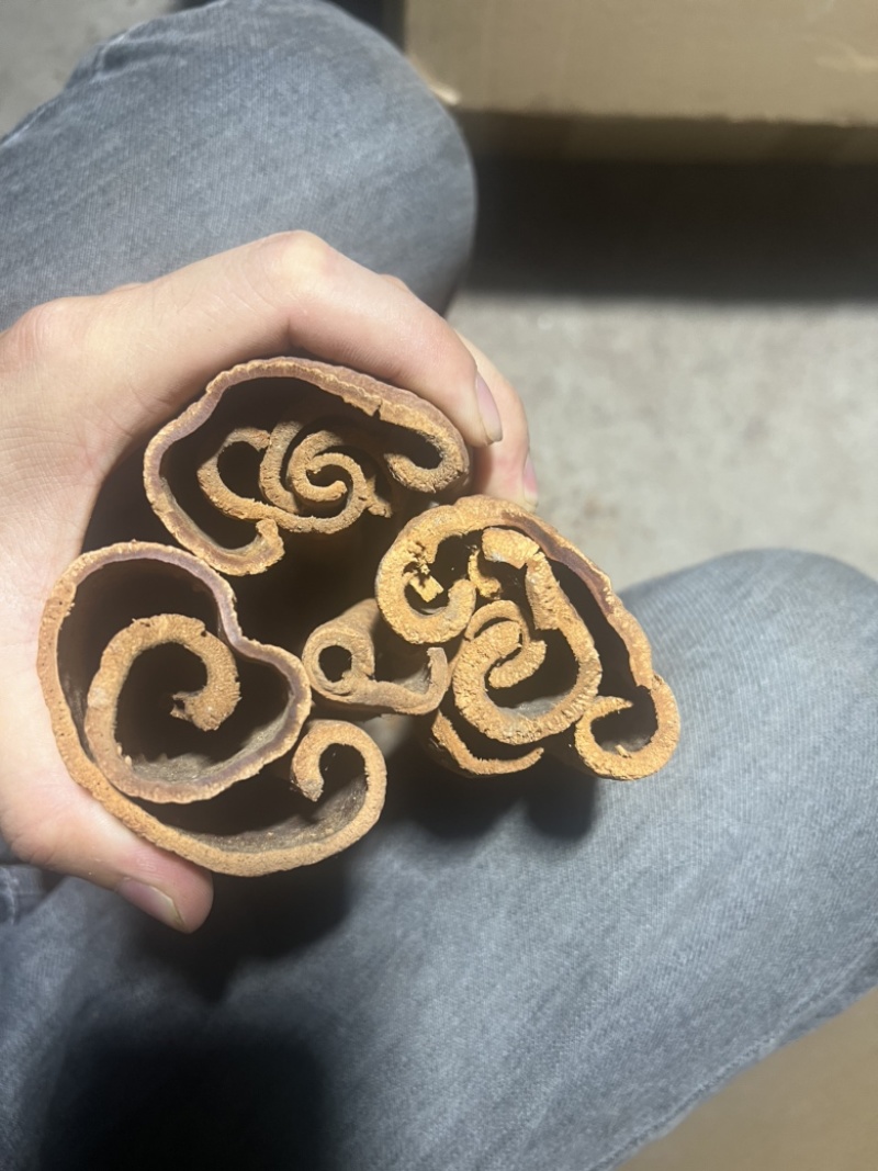 越南高山紫油桂，质量保证，干净，黄亮