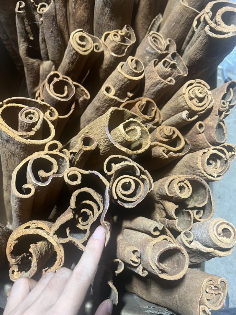 越南高山紫油桂，质量保证，干净，黄亮