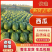 吉林西瓜庆红999种植基地糖度13+一手货源专业代发