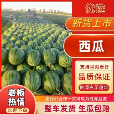 吉林庆红999产地一手货源支持视频验货代发全国