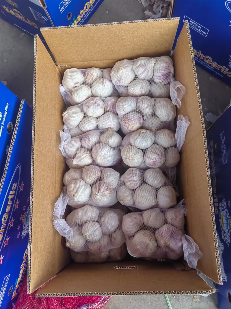 金乡大蒜，专注电商，超市，量大从优一手货源