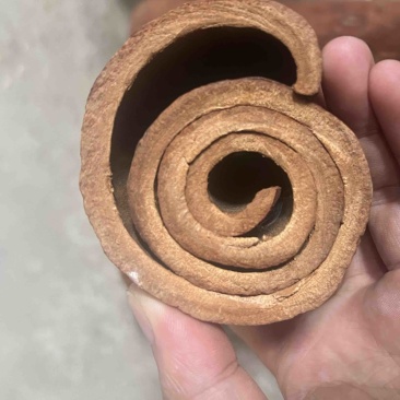 广西高山肉桂，质量保证，视频看货，量大从优，干净黄亮