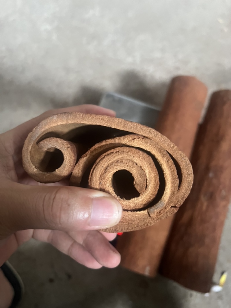 广西高山肉桂，质量保证，视频看货，量大从优，干净黄亮