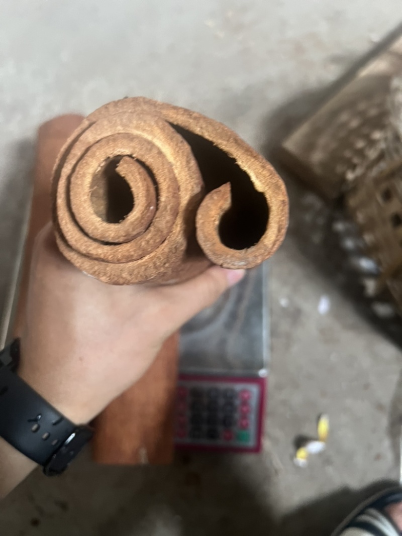 广西高山肉桂，质量保证，视频看货，量大从优，干净黄亮