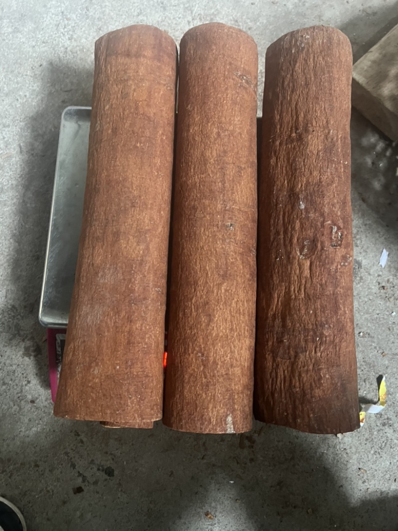广西高山肉桂，质量保证，视频看货，量大从优，干净黄亮