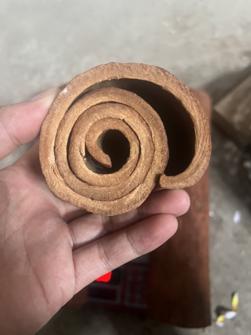 广西高山肉桂，质量保证，视频看货，量大从优，干净黄亮