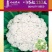 花菜种子川塔松110天晚熟松花菜杂交一代靑梗大花球