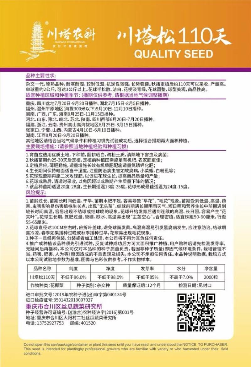 花菜种子川塔松110天晚熟松花菜杂交一代靑梗大花球