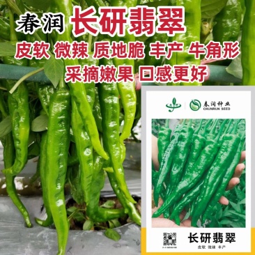 春润长研翡翠辣椒种子软皮辣椒种籽牛角形微辣正宗软皮椒种子