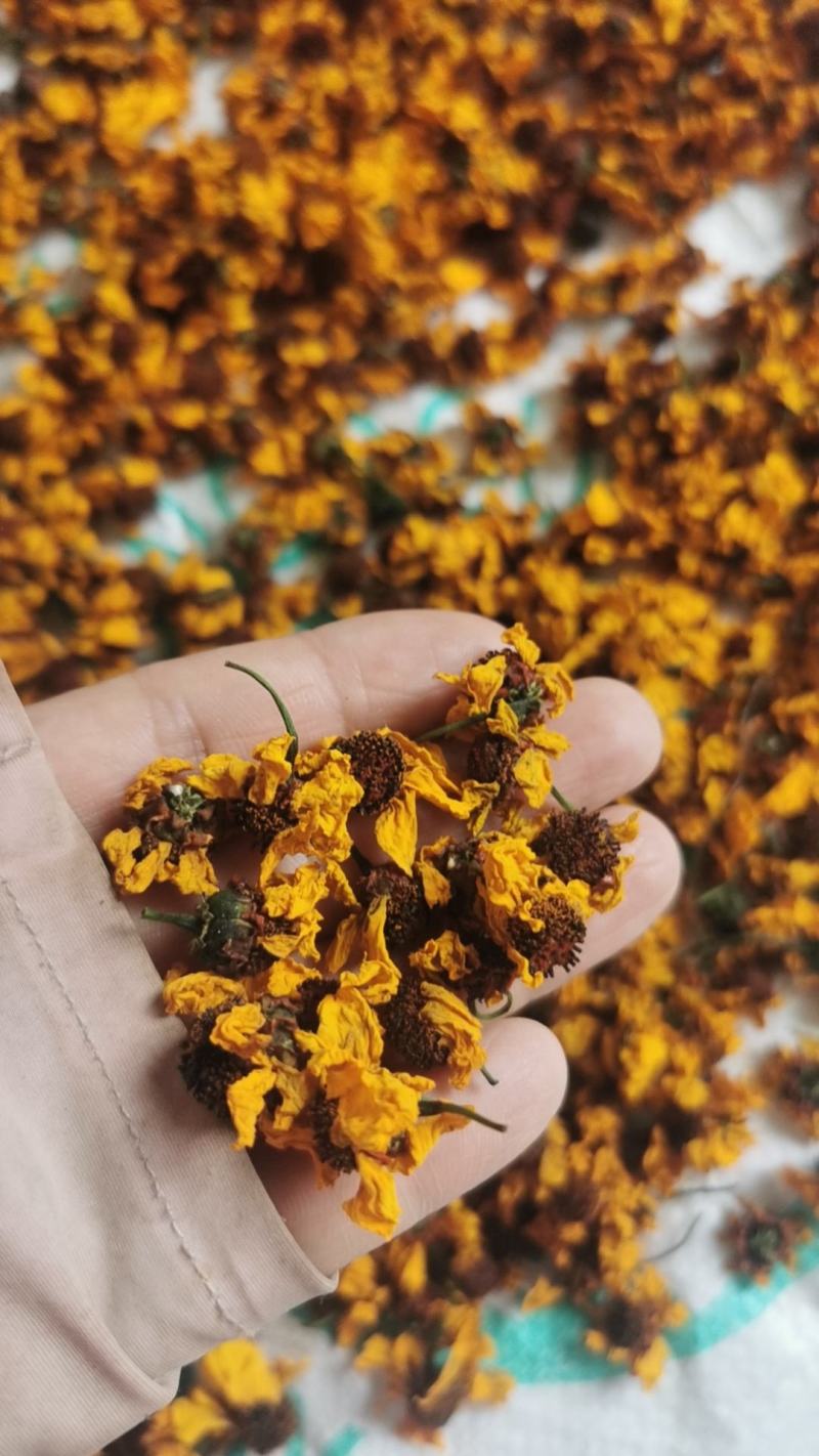 菊花新疆天山雪菊浓香型无硫净货批发零售