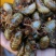 杜仲金蝉(大山之上产)