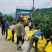 福建平和琯溪蜜柚三红柚产地直采产地代办供应市场