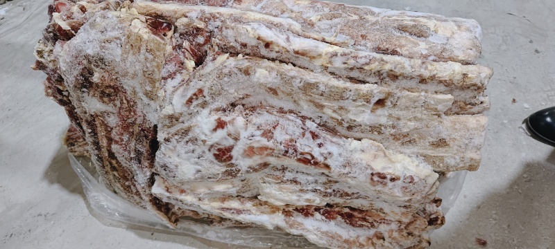 狗食饲料肉骨头