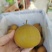 【实力推荐】安徽砀山县圆黄梨，皮薄汁水多可对接各大市场