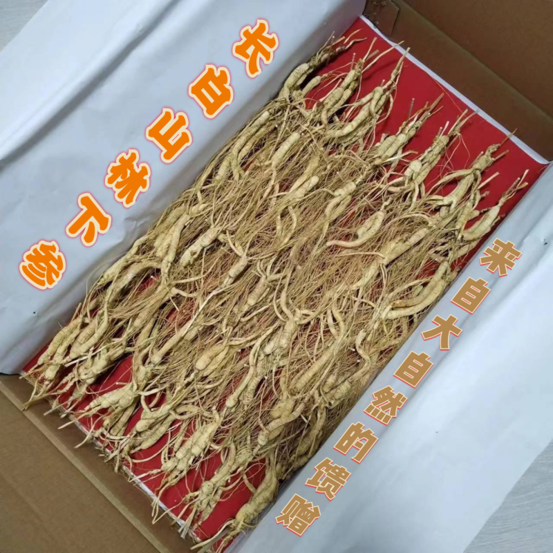 长白山林下参【全国包邮】各种规格可预订可一件代发
