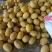 金色年华哈密瓜品质优良价格美丽果肉脆甜欢迎来电