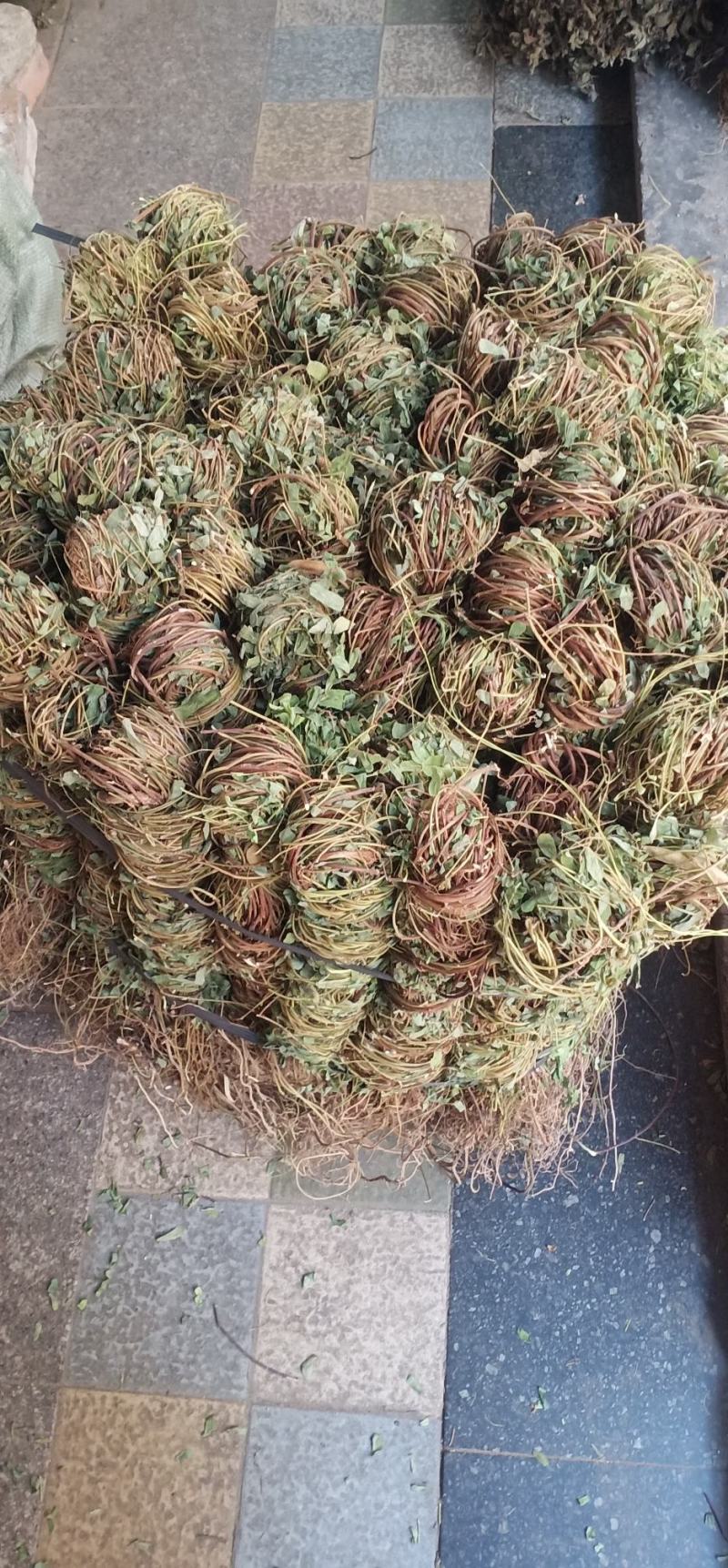 长扎带叶鸡骨草中药批发一手货源量大忧惠全国发货