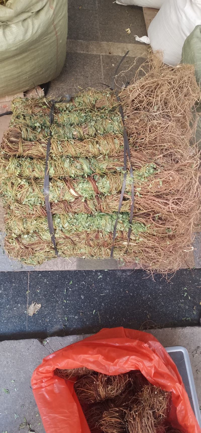 长扎带叶鸡骨草中药批发一手货源量大忧惠全国发货