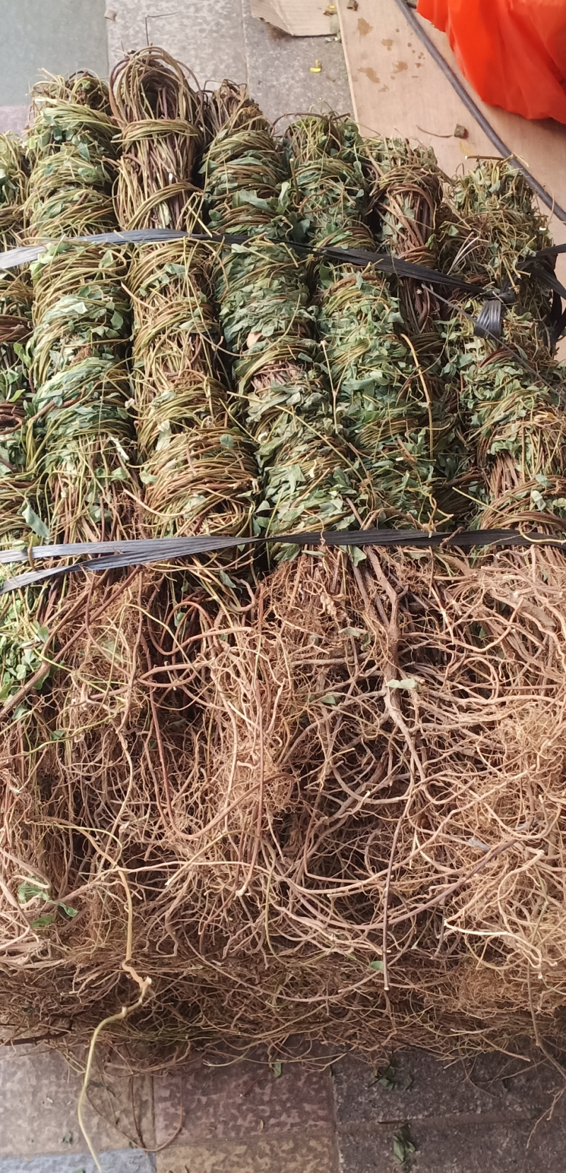 长扎带叶鸡骨草中药批发一手货源量大忧惠全国发货