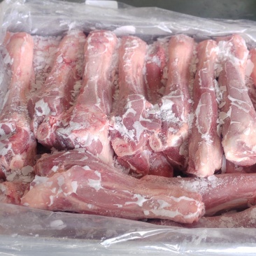 带肉羊前腱子烧烤卤制炖锅等支持样品冷链发市场