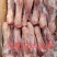 带肉羊前腱子烧烤卤制炖锅等支持样品冷链发市场