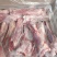 带肉羊前腱子烧烤卤制炖锅等支持样品冷链发市场