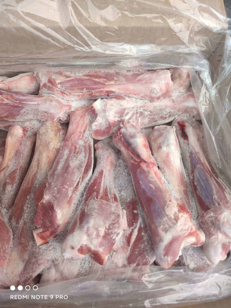 带肉羊前腱子烧烤卤制炖锅等支持样品冷链发市场