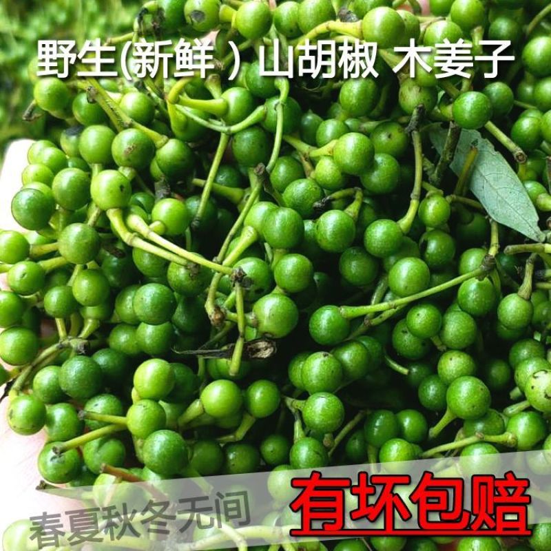 2026湖南特产野生新晒干山胡椒木姜子干货保证品量大从优