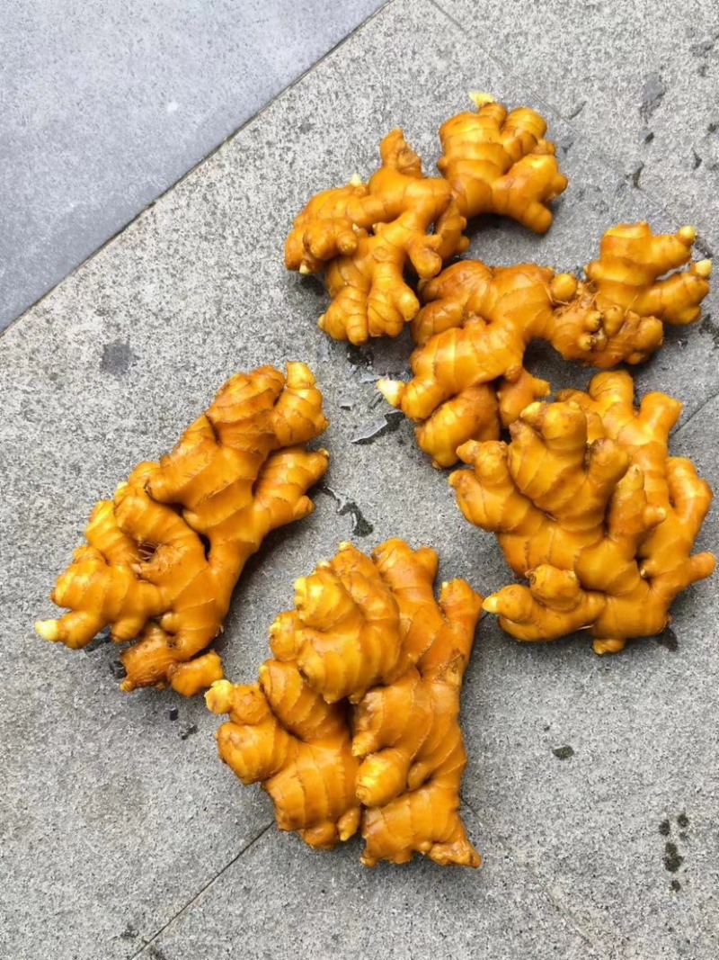 精品小黄姜，产地一手货源，大量供应………………