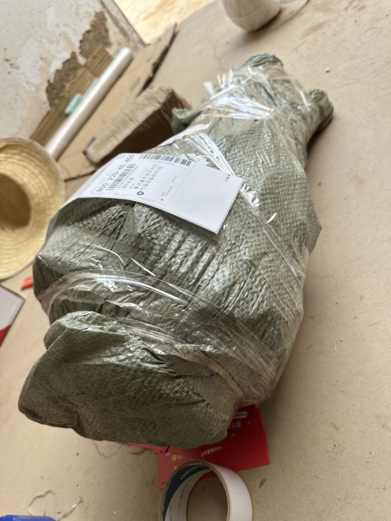 正宗药用连翘苗老桩连翘苗绿化工程苗