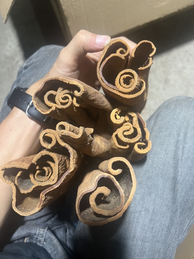 越南高山紫油桂，质量保证，干净，黄亮