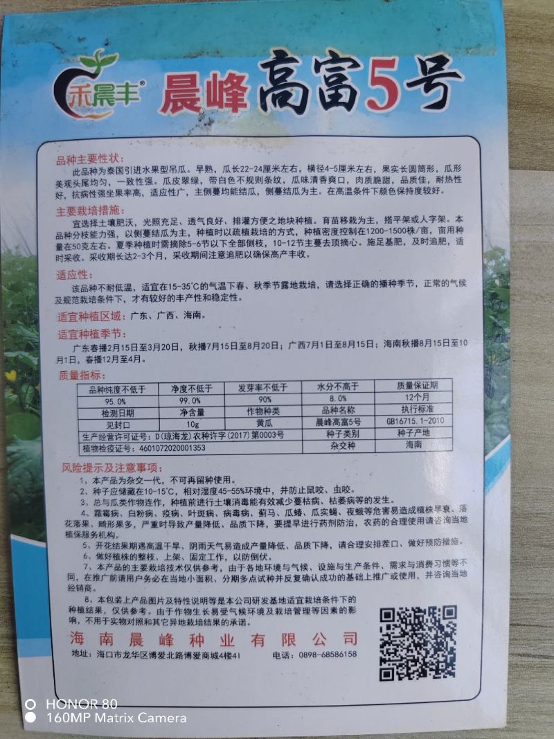 中早熟水果吊瓜，耐热耐湿抗病强产量高品质保证厂家发货