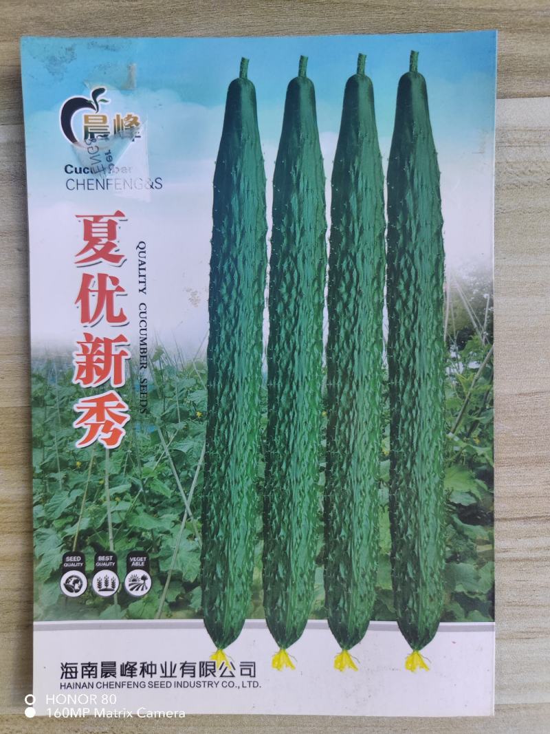 黄瓜种子夏优新秀瓜条顺直把短耐高温长势强厂家发货品质保证
