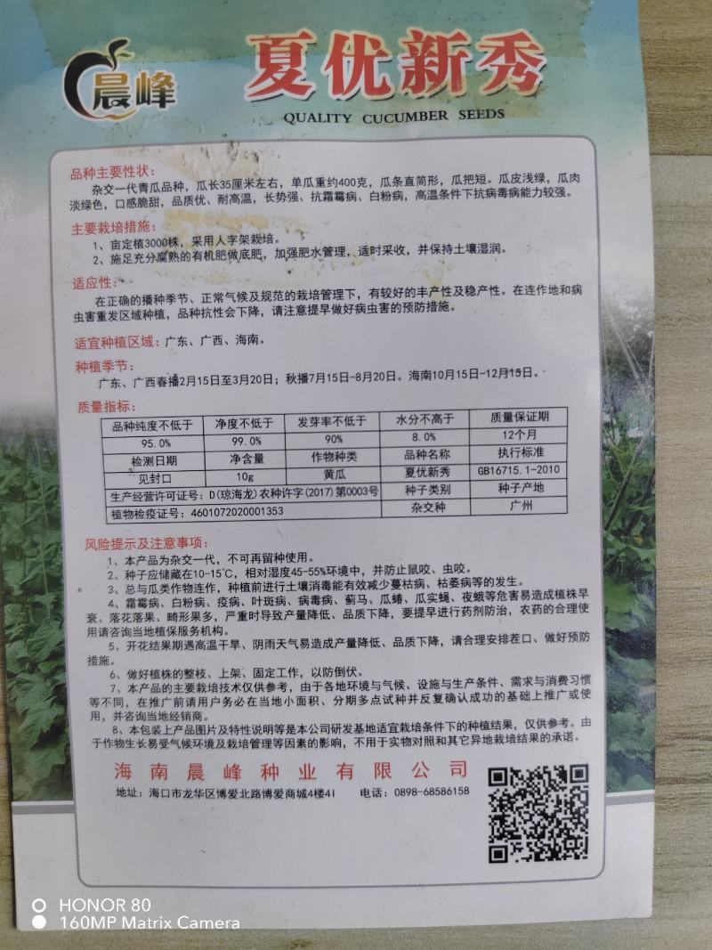 黄瓜种子夏优新秀瓜条顺直把短耐高温长势强厂家发货品质保证