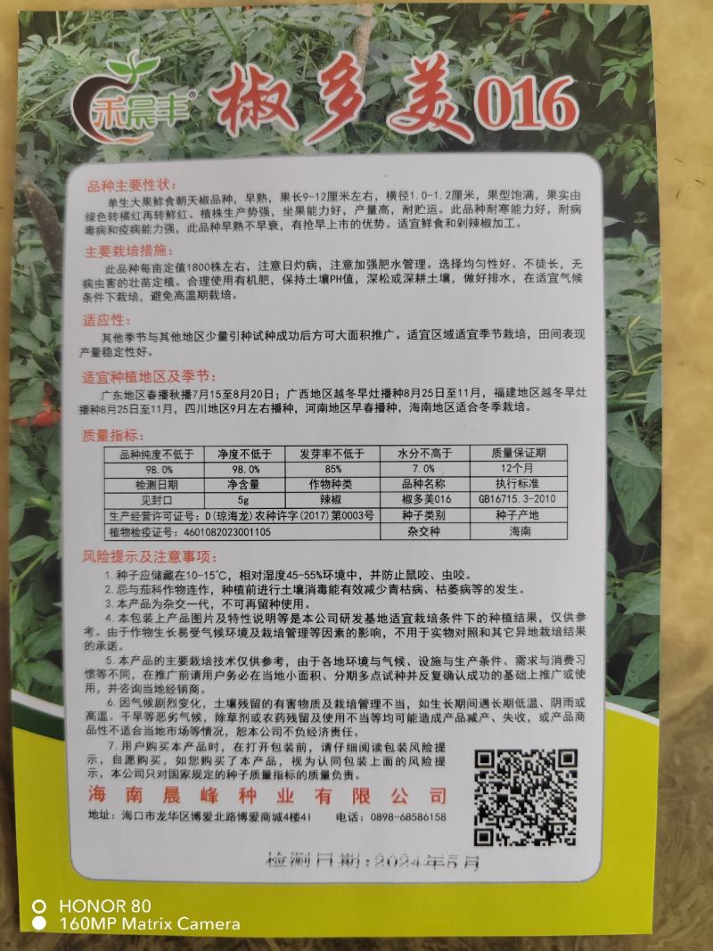 耐寒单生大果朝天椒早熟抗病不早衰厂家发货
